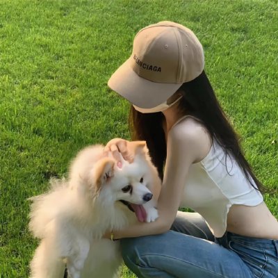 泰迪熊